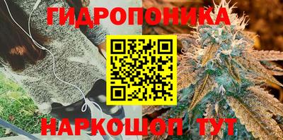 a pvp Балаково