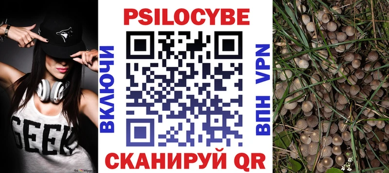 купить наркоту  Волгоград  Галлюциногенные грибы Magic Shrooms 