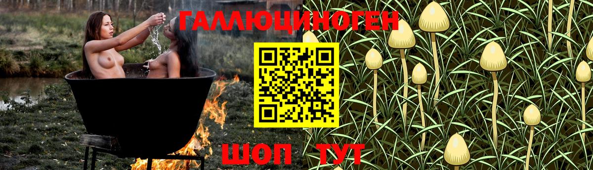 Галлюциногенные грибы мицелий  Вход с VPN  Волгоград 